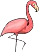 Photo Safari flamingo